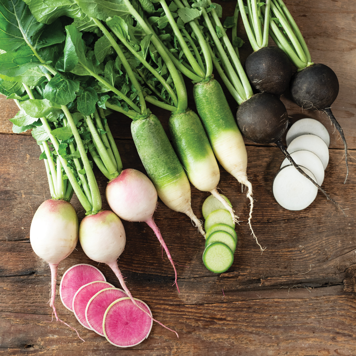 mixed radishes