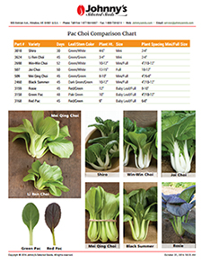 Pac Choi Comparison Chart