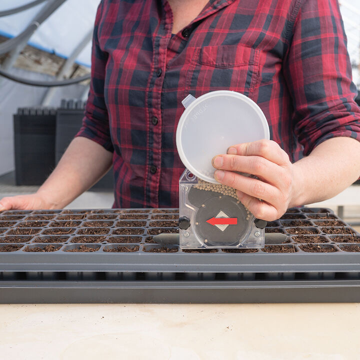 using a cell-tray seeder
