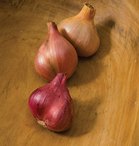 Shallots