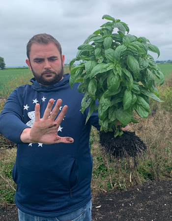 Manuel Quesada Garcia of Goodness Gardens, with a single Prospera plant, holds up his hand for scale