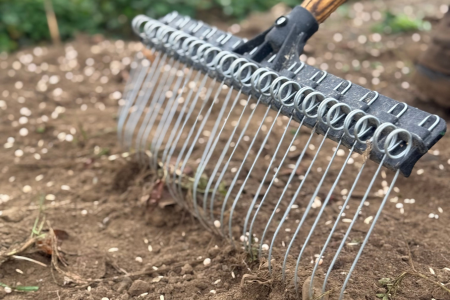 raking cover crop