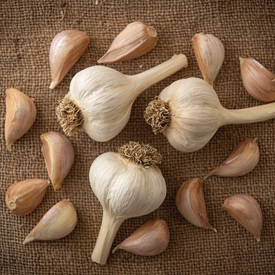 German Extra Hardy Organic Garlic Bulbs