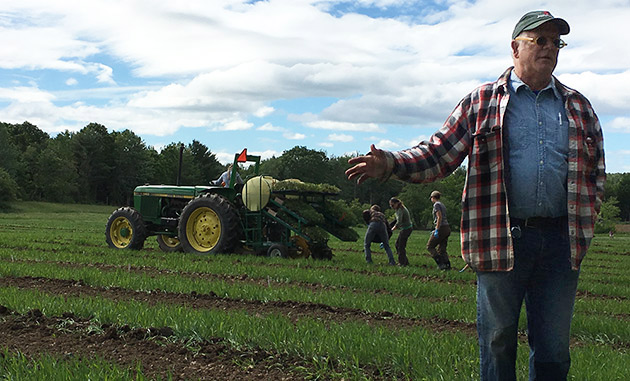 Eero Ruuttila explains Cover Cropping in the trialing fields