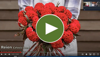 View Our Full New-for-2023 Flowers Webinar Video