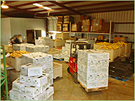 Freshly Packed Farm Produce Freshly Packed Farm Produce