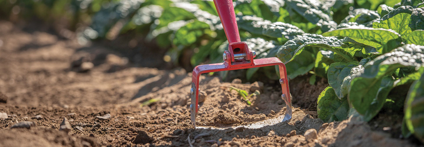 Hoes & Cultivators Sale