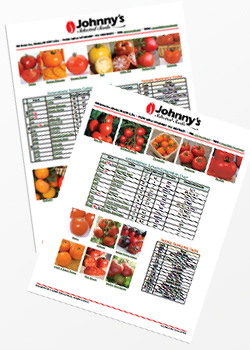 Johnny's Tomato Comparison Charts