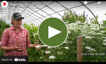 View Our Video on Economic Considerations for Overwinter Flower Production