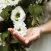 Wedding Wisdom 101