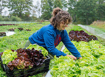 key growing information