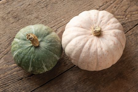 Kabocha Squash Varieties