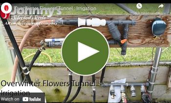 View Our Overwinter Flower Tunnel Irrigation Video