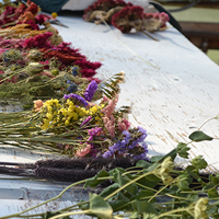 A spectrum of dried flowers