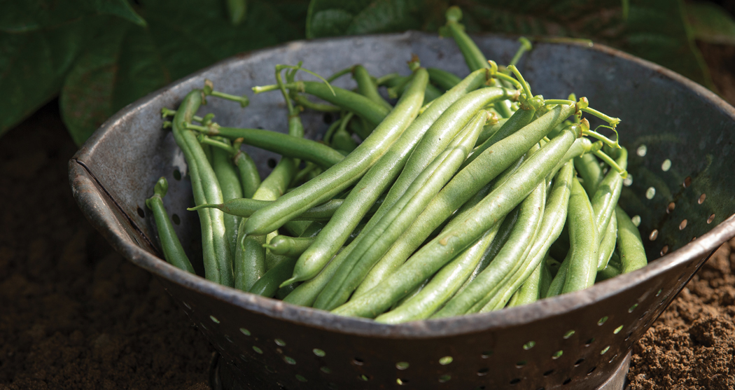 string beans in a basket