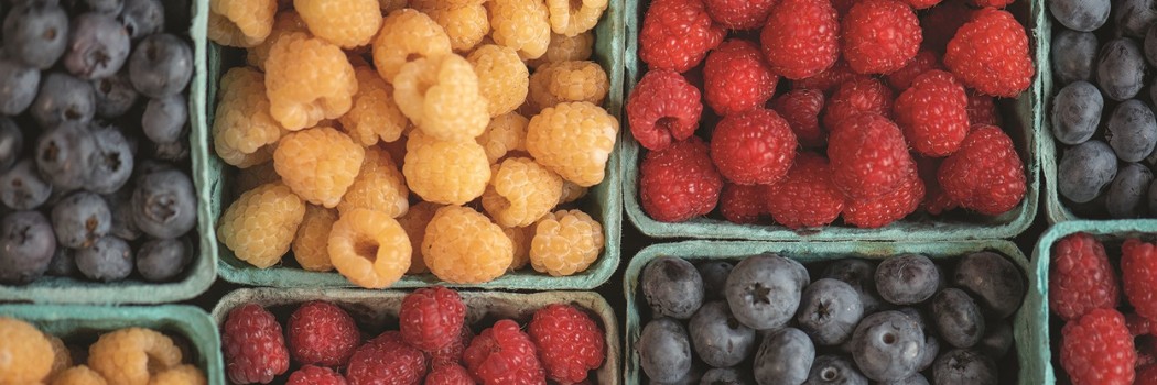 Growing Information for Fruit Plants, Plugs & Seeds