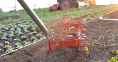 7-inch Wheel Weeder