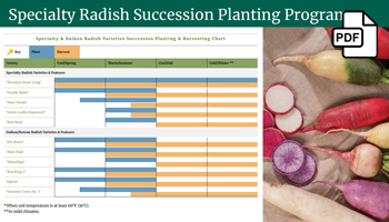Remarkable Roots Webinar Slide Deck PDF