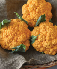 Clementine