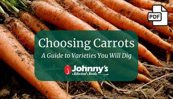 Choosing Carrots Webinar Slide Deck PDF