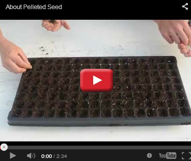 About Pelleted Seed