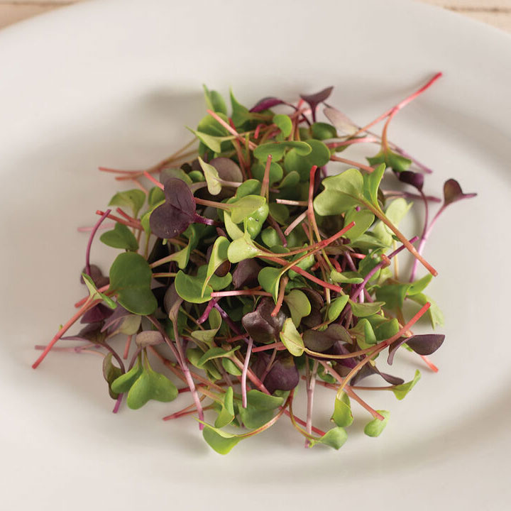 Microgreen Vegetables