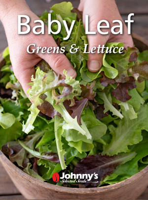 Johnny's Online Babyleaf Catalog