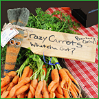 Crazy Carrots make friends at Portland Farmers' Market