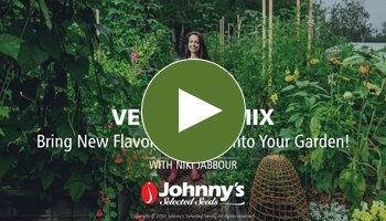 View Our Full Veggie Remix Webinar Video