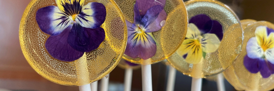 Violas in lollipop's