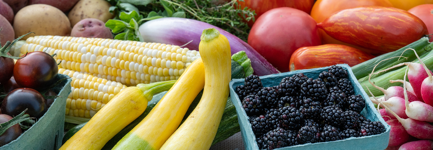 A bountiful harvest of fruits and vegetables