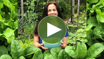 View Our Full Salad Gardens Webinar Video