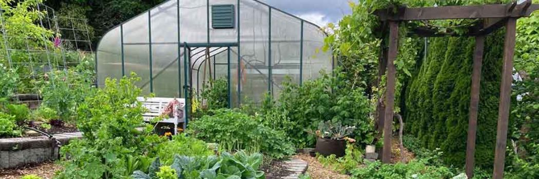 Contributor Donna Balzer's terraced garden combines vegetable, flower, and herb crops to attract and sustain beneficial organisms