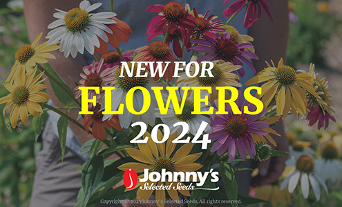 New Flowers for 2024: Webinar
