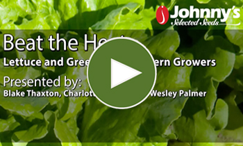 View Our Full Lettuce & Greens for Southern Growers Webinar Video