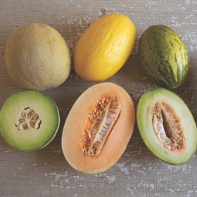 three different types of melons