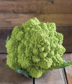 Puntoverde