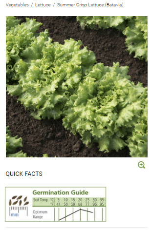 Germination Guides for Optimal Temperature