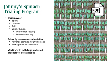 WEBINAR SLIDE DECK: Spinachpalooza—Seasonal Slotting & Variety Traits PDF