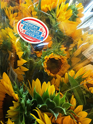 Sunflowers form the backbone of Cuts of Colors' comprehensive grocery store program