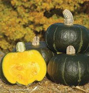 Bonbon buttercup squash