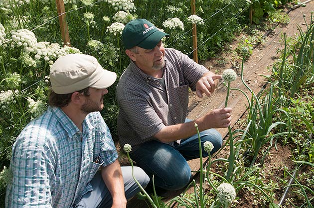 Plant breeder Dr. John Navazio shares observations on the onion trial at Johnny's.